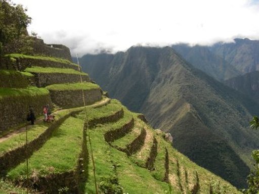ancient inca agriculture